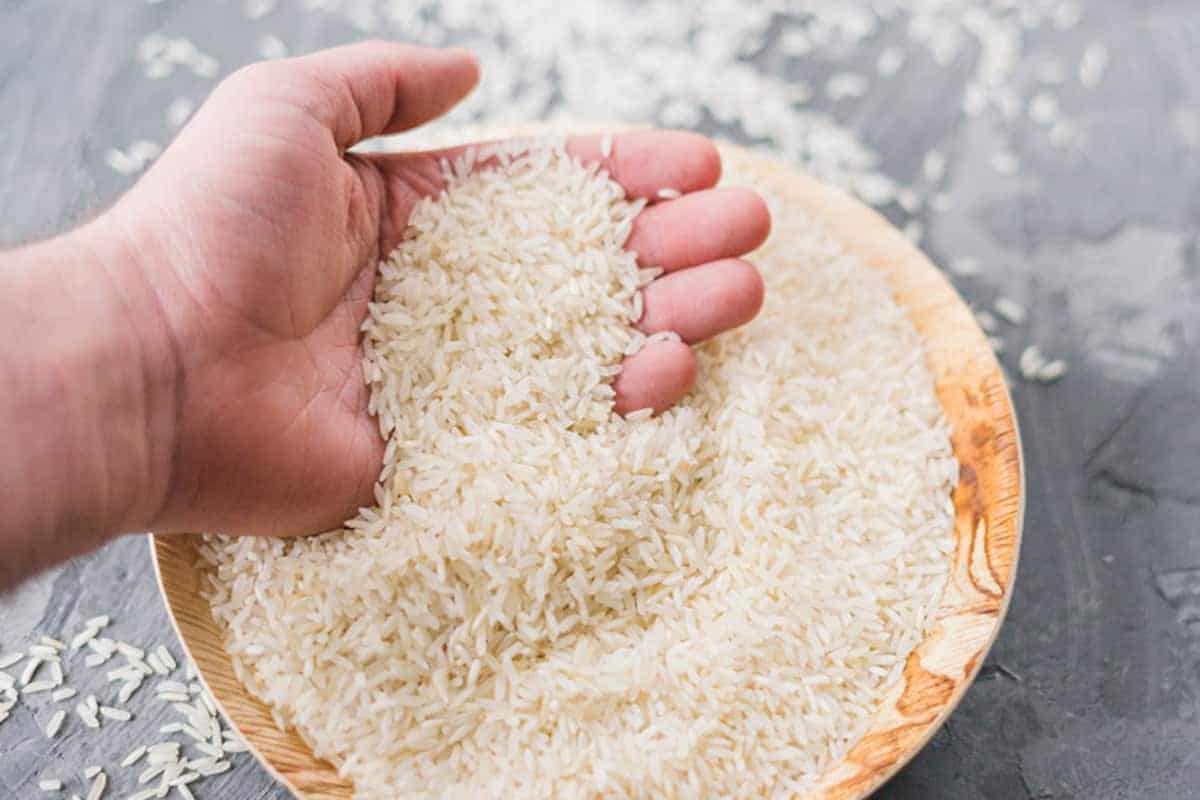 قیمت خرید برنج هندی دانه بلند + فروش ویژه